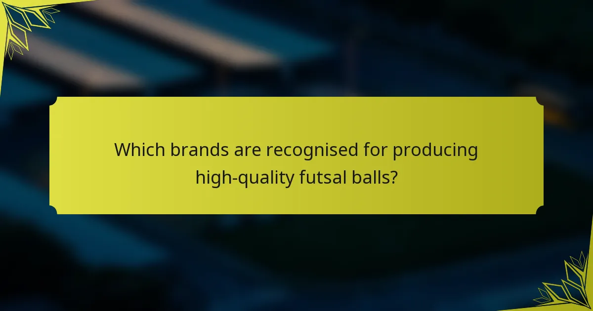 Which brands are recognised for producing high-quality futsal balls?