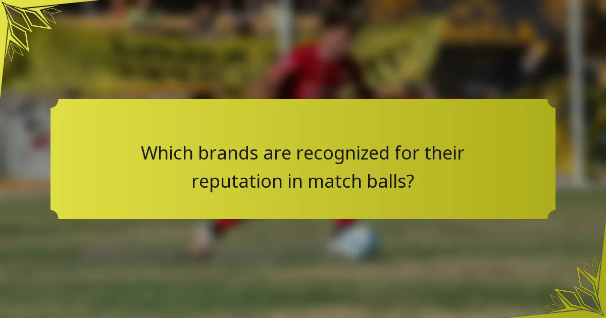 Which brands are recognized for their reputation in match balls?