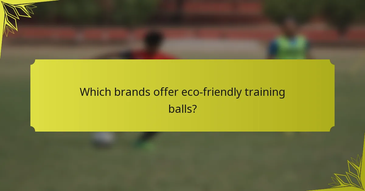 Which brands offer eco-friendly training balls?
