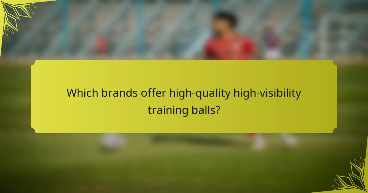 Which brands offer high-quality high-visibility training balls?