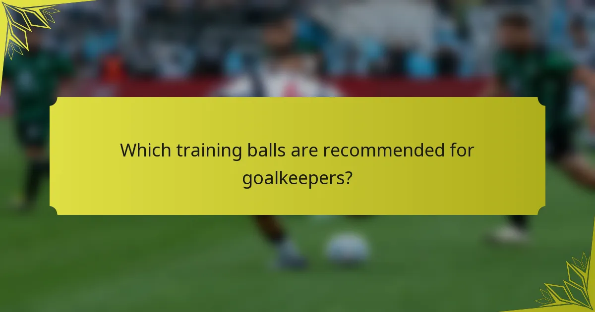Which training balls are recommended for goalkeepers?